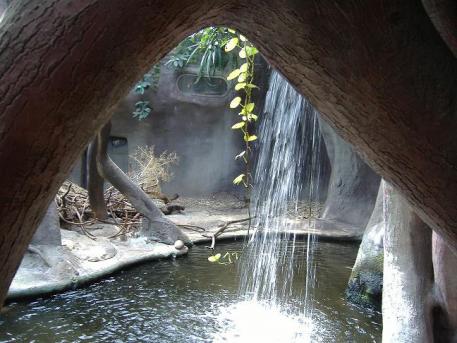 Vodopád v Zoo