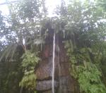 Vodopád v botanické zahradě